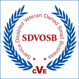 Service Disabled Veteran Owned Small Business - SDVOSB